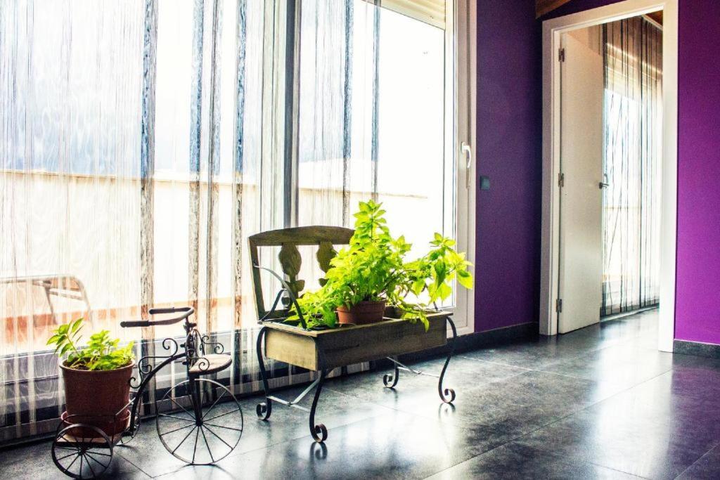 Apartamento Con Estilo Y Acogedor Сан-Матеу Екстер'єр фото